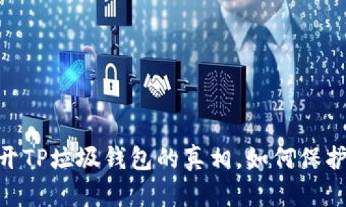 2025必看！揭开TP垃圾钱包的真相，如何保护你的资产安全
