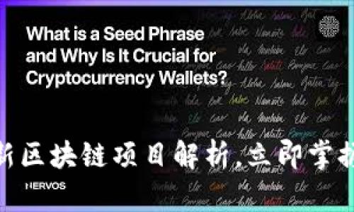 2025必看：最新区块链项目解析，立即掌握未来科技走向