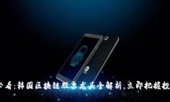 2025必看：韩国区块链股票龙头全解析，立即把握