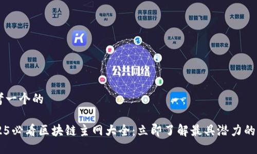 思考一个的

2025必看区块链主网大全：立即了解最具潜力的项目