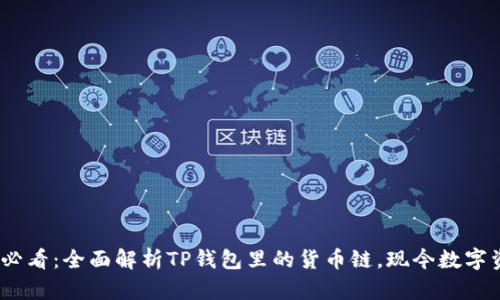 bianoti2025年必看：全面解析TP钱包里的货币链，现今数字资产的最佳选择！