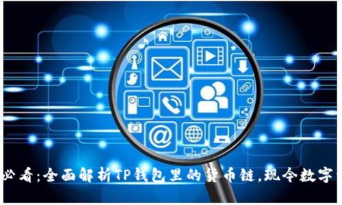 bianoti2025年必看：全面解析TP钱包里的货币链，现今数字资产的最佳选择！