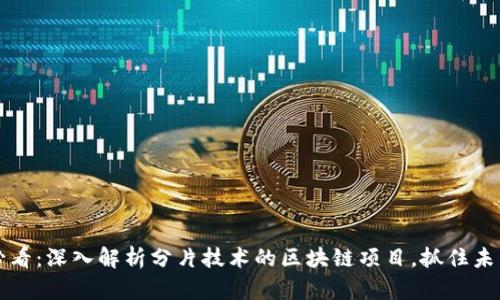 2025必看：深入解析分片技术的区块链项目，抓住未来趋势！