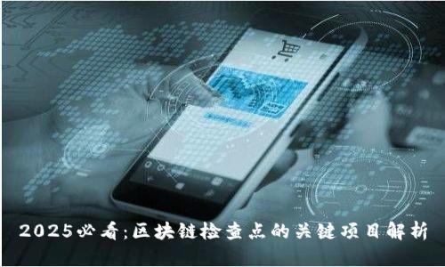 2025必看：区块链检查点的关键项目解析