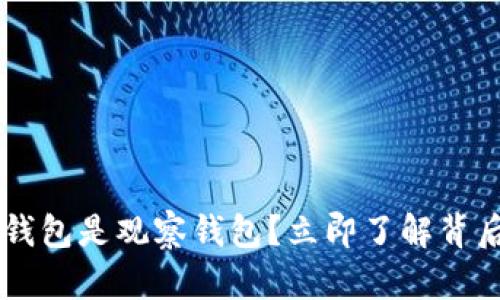 为什么TP创建的钱包是观察钱包？立即了解背后的机制与优缺点