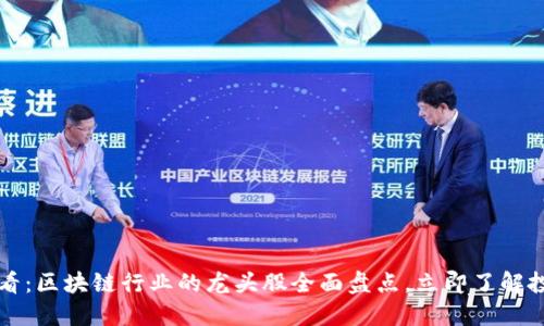 2025必看：区块链行业的龙头股全面盘点，立即了解投资机会！