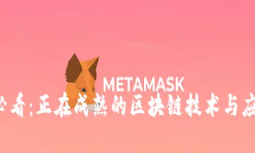 2025必看：正在成熟的区块链技术与应用一览