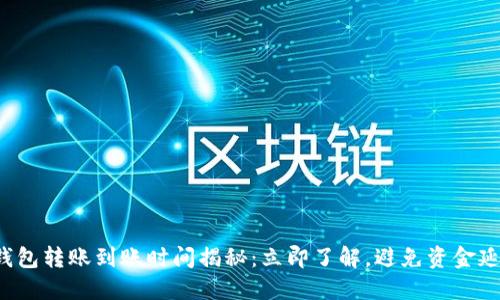 TP钱包转账到账时间揭秘：立即了解，避免资金延误！