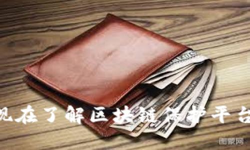 2025必看！现在了解区块链保护平台提供的服务