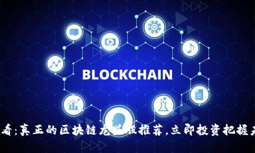 2025必看：真正的区块链龙头股推荐，立即投资把握未来机遇