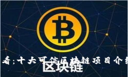 2025必看：十大可信区块链项目介绍与分析
