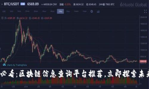 2025必看：区块链信息查询平台推荐，立即探索未来科技