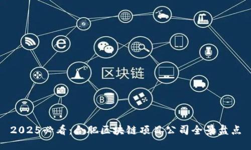 2025必看：合肥区块链项目公司全景盘点