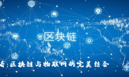: 2025必看：区块链与物联网的完美结合——催化剂揭秘