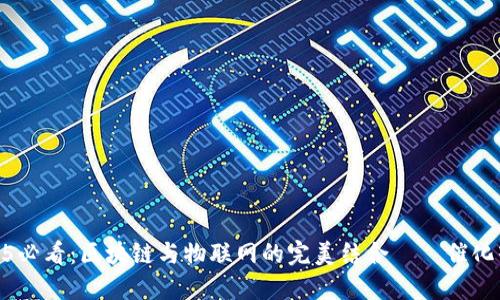 : 2025必看：区块链与物联网的完美结合——催化剂揭秘