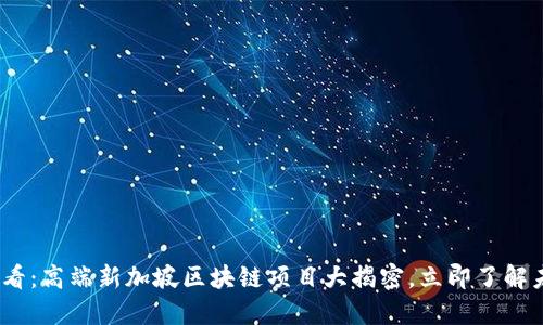2025必看：高端新加坡区块链项目大揭密，立即了解未来趋势