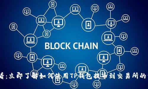 2025必看：立即了解如何使用TP钱包提币到交易所的详细步骤