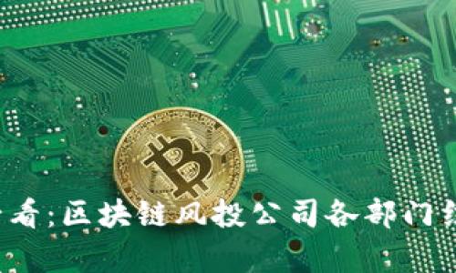 2025必看：区块链风投公司各部门结构解析