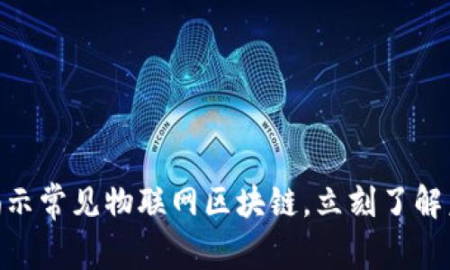 2025必看：揭示常见物联网区块链，立刻了解未来科技动向