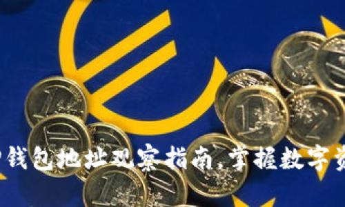 2025必看：TP钱包地址观察指南，掌握数字资产安全技巧！