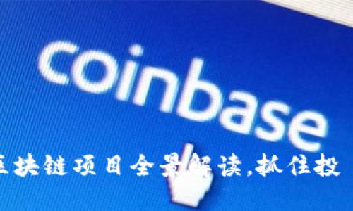 2025必看：美国区块链项目全景解读，抓住投資機會，立即关注！