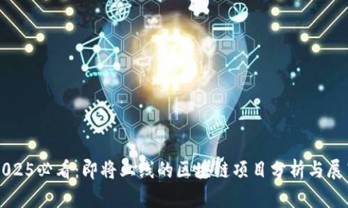 2025必看：即将上线的区块链项目分析与展望