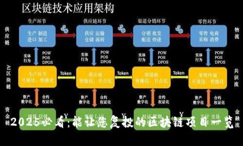 2025必看：能让您复投的区块链项目一览