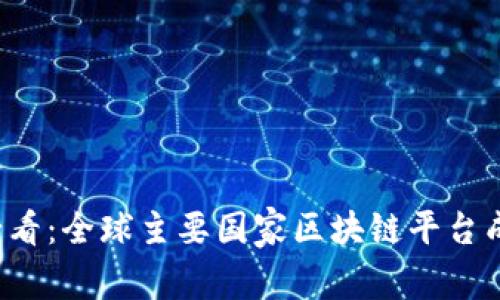 2025必看：全球主要国家区块链平台成立一览