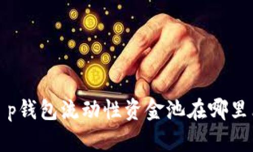 t p钱包流动性资金池在哪里看
