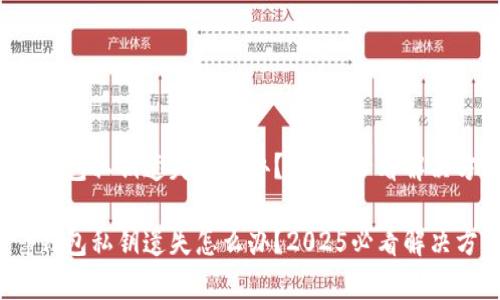 t p钱包私钥遗失怎么办？2025必看解决方案

t p钱包私钥遗失怎么办？2025必看解决方案