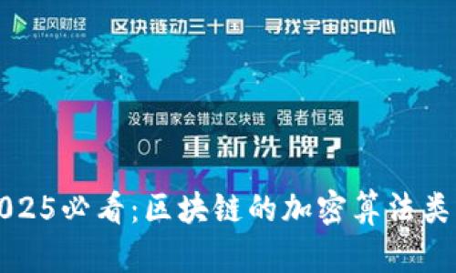 解锁2025必看：区块链的加密算法类型详解