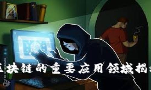 2025必看：区块链的重要应用领域揭秘，立即了解！