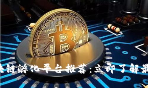 2023年最新区块链孵化平台推荐：立即了解最值得关注的项目