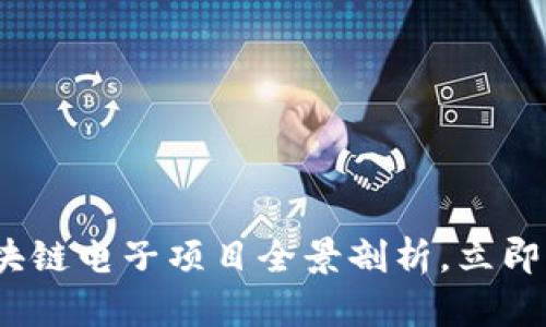 2025必看：区块链电子项目全景剖析，立即了解未来趋势！