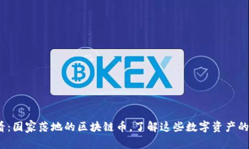 2025必看：国家落地的区块链币，了解这些数字资产的未来趋势