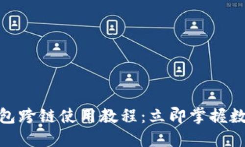 2025必看！TP钱包跨链使用教程：立即掌握数字资产便捷管理