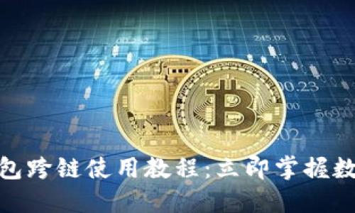 2025必看！TP钱包跨链使用教程：立即掌握数字资产便捷管理