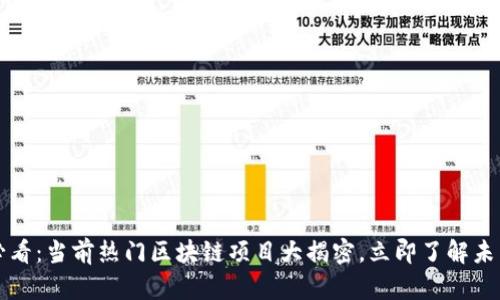 2025必看：当前热门区块链项目大揭密，立即了解未来趋势！