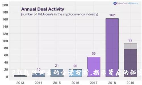 : 2025必看：t P钱包被调查的全景分析，揭示背后的秘密与未来趋势