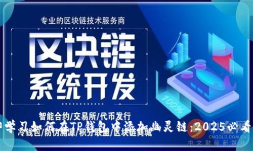 立即学习如何在TP钱包中添加幽灵链：2025必看指南