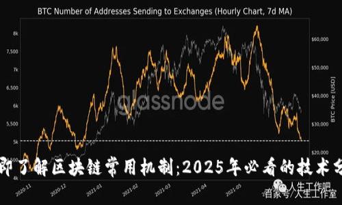 立即了解区块链常用机制：2025年必看的技术分析