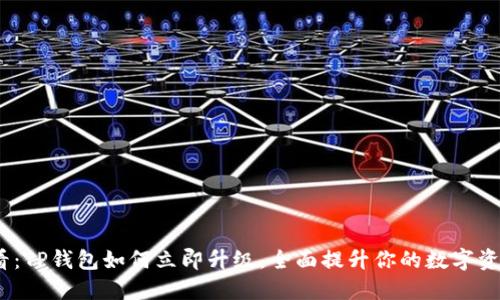 2025必看：TP钱包如何立即升级，全面提升你的数字资产安全性