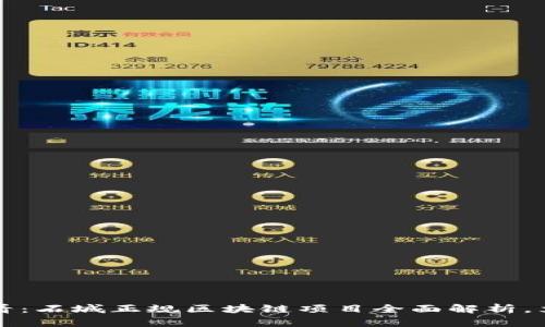 2025必看：石城正规区块链项目全面解析，立即关注！