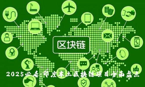 2025必看：印度本土区块链项目全面盘点