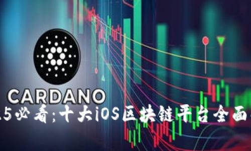 2025必看：十大iOS区块链平台全面解析