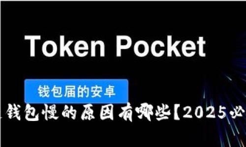  区块链钱包慢的原因有哪些？2025必看指南！