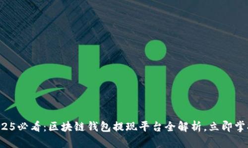 2025必看：区块链钱包提现平台全解析，立即掌握！