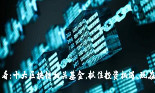2025必看：十大区块链相关基金，抓住投资机遇，现在就行动！