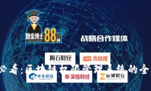 2025必看：区块链权限管理系统的全景分析