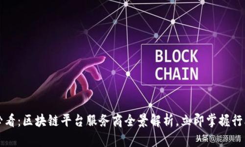 2025必看：区块链平台服务商全景解析，立即掌握行业动态！